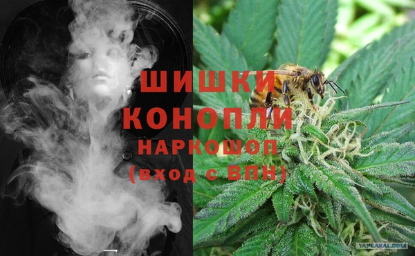хмурый Ладушкин