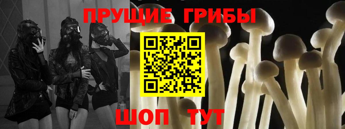 Галлюциногенные грибы GOLDEN TEACHER Ливны